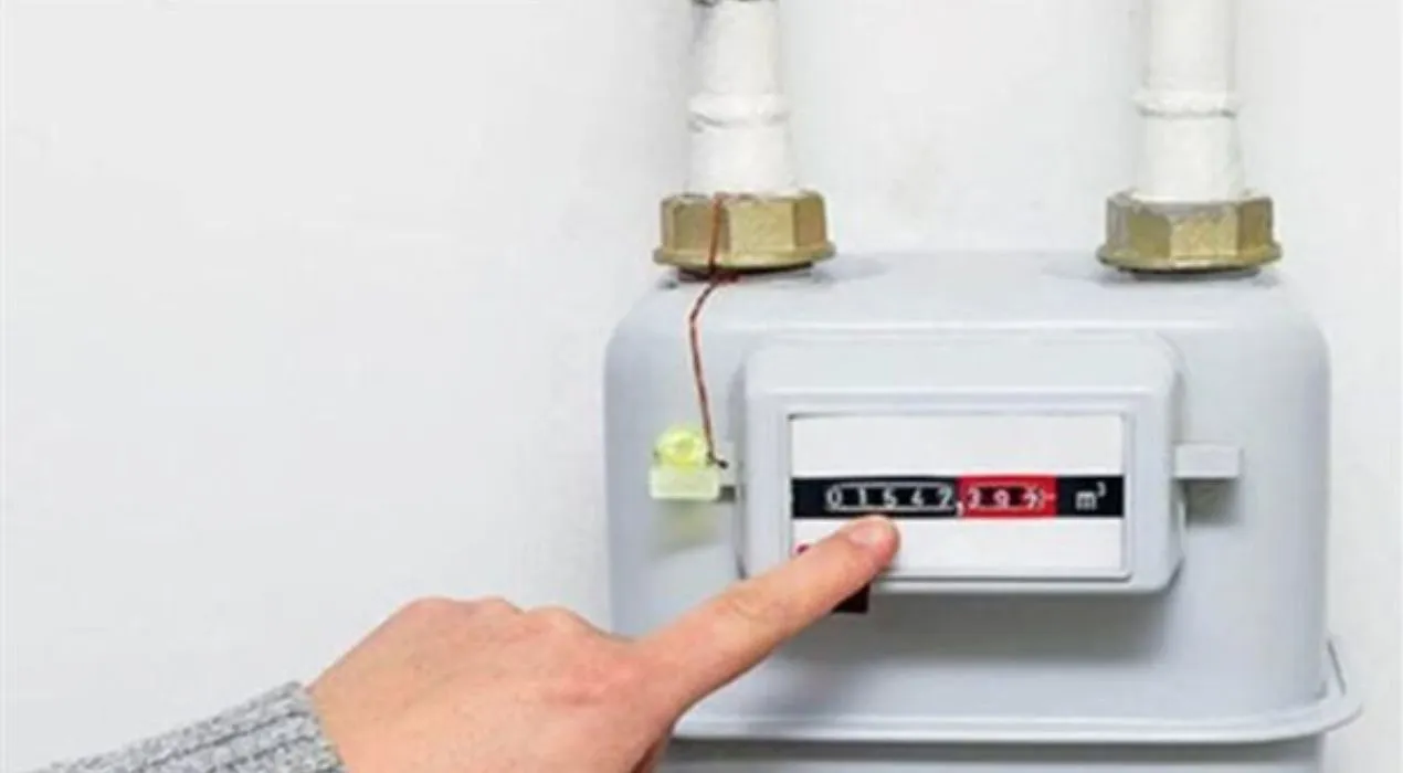 Gas Network Design